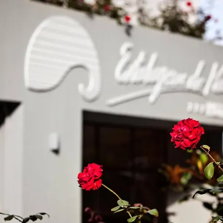 Estalagem Do Mar São Vicente